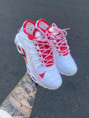 Nike AirMax Terrascape Branco c/ Vermelho