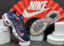 Nike AirMax Terrascape Azul Marinho c/ Salmão e Branco